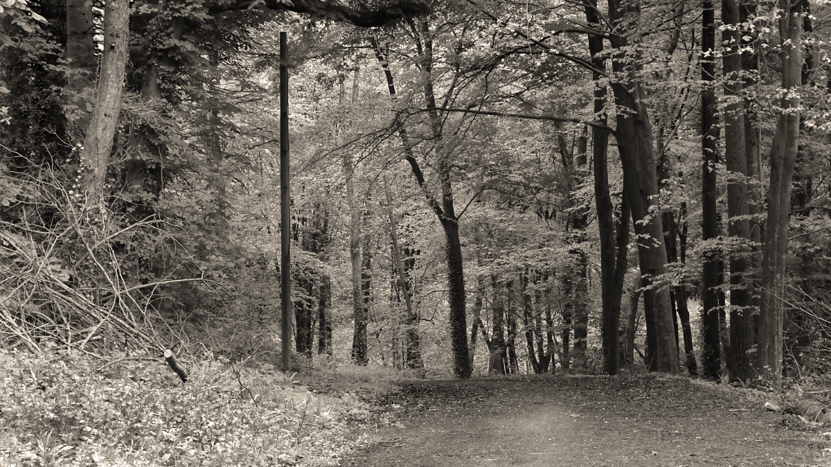 Remembering Catherine Herald, Pt. 1: If only her sister had stayed the night…