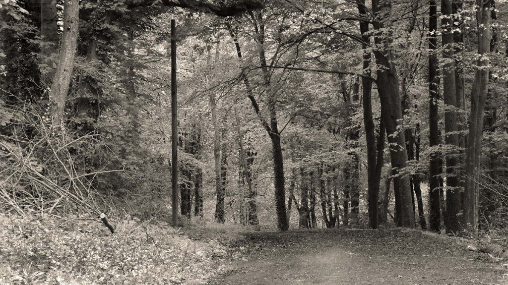 Remembering Catherine Herald, Pt. 1: If only her sister had stayed the&nbsp;night…